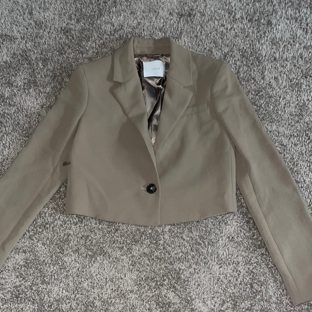 Aritiza cropped blazer